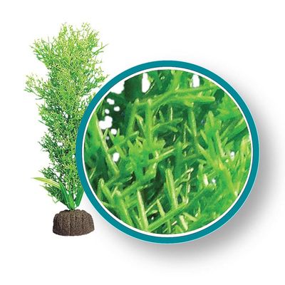 WECO Bushy Kelp 9&quot;