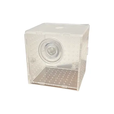 Camry Acrylic Isolation Tank SAB-4 4&quot;x4&quot;x4&quot;