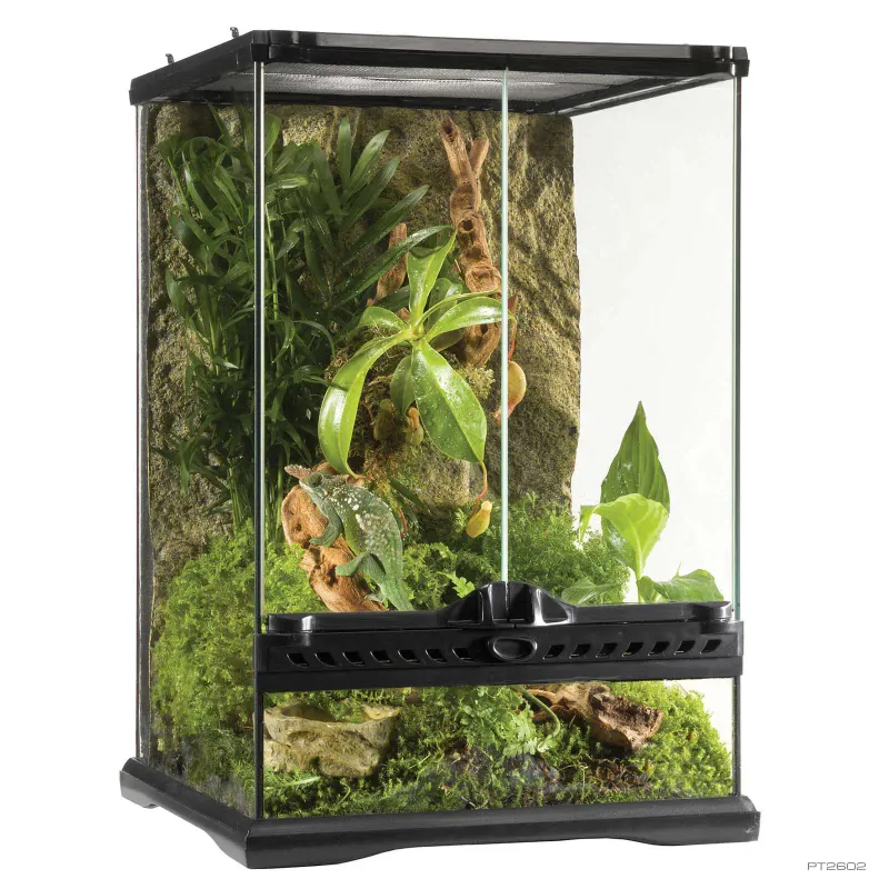 Exo Terra Natural Terrarium, Mini Tall