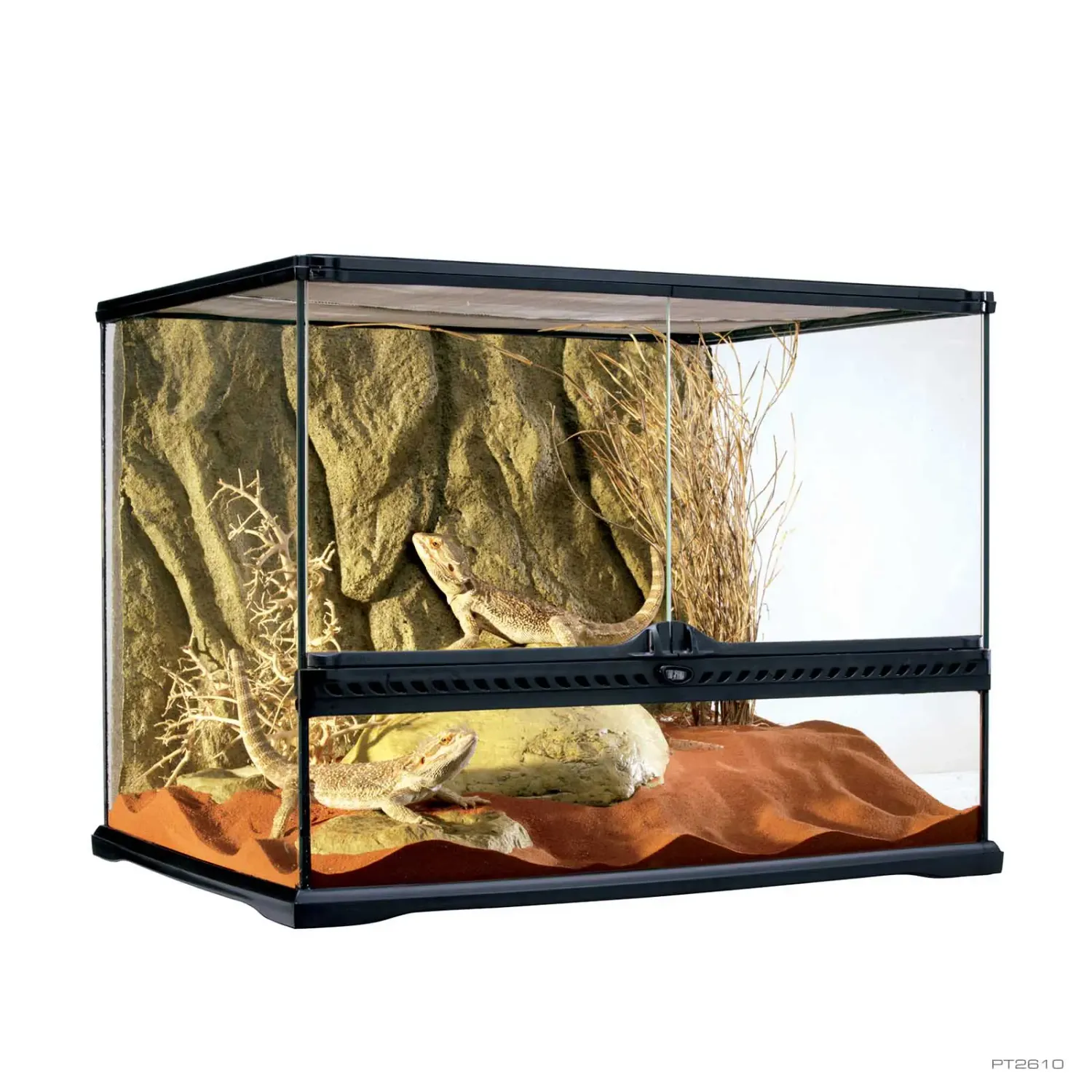 Exo Terra Terrarium, Medium Wide