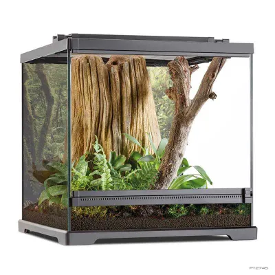 Exo Terra Dart Frog Terrarium Small Wide