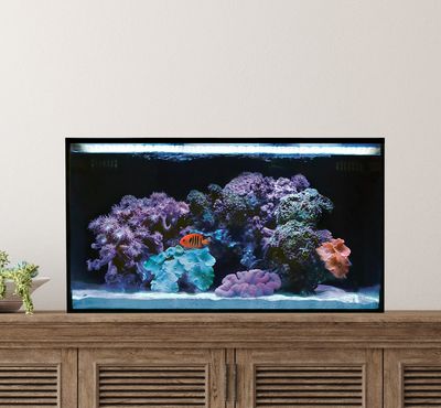 Innovative Marine Fusion 20 Long AIO