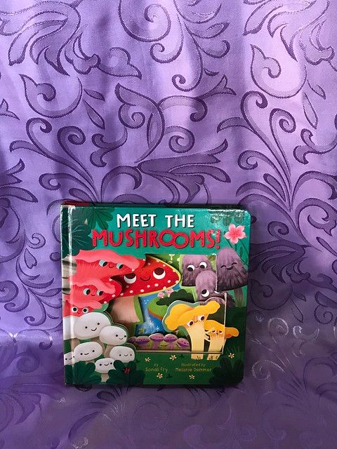 Meet the Mushrooms!