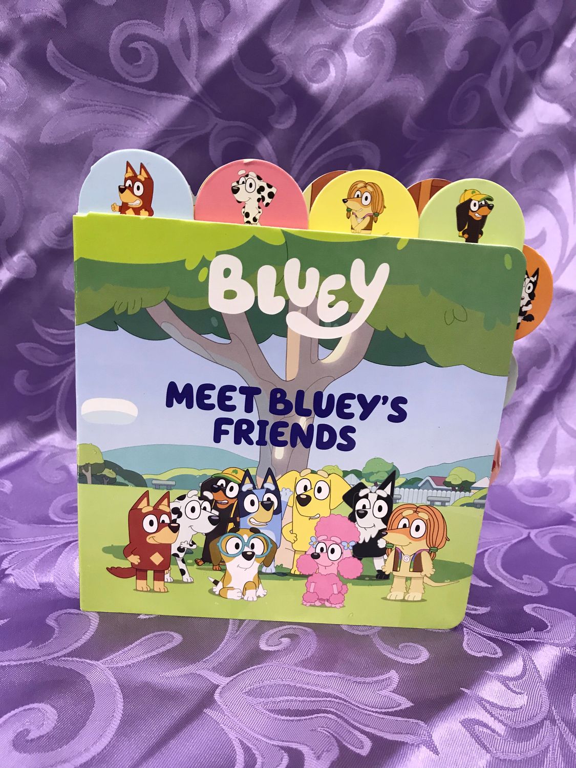 Meet Bluey&#39;s Friends