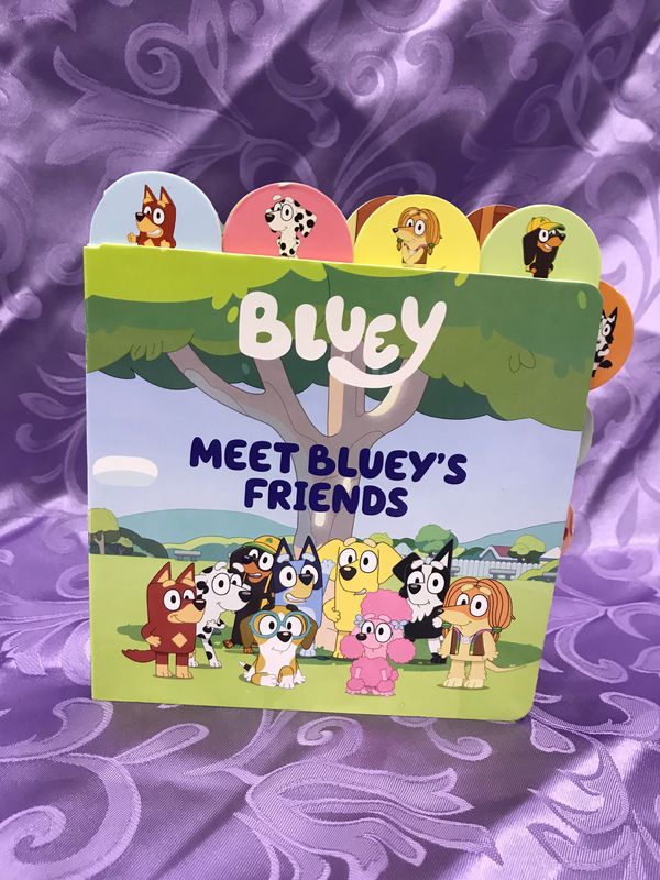 Meet Bluey&#39;s Friends