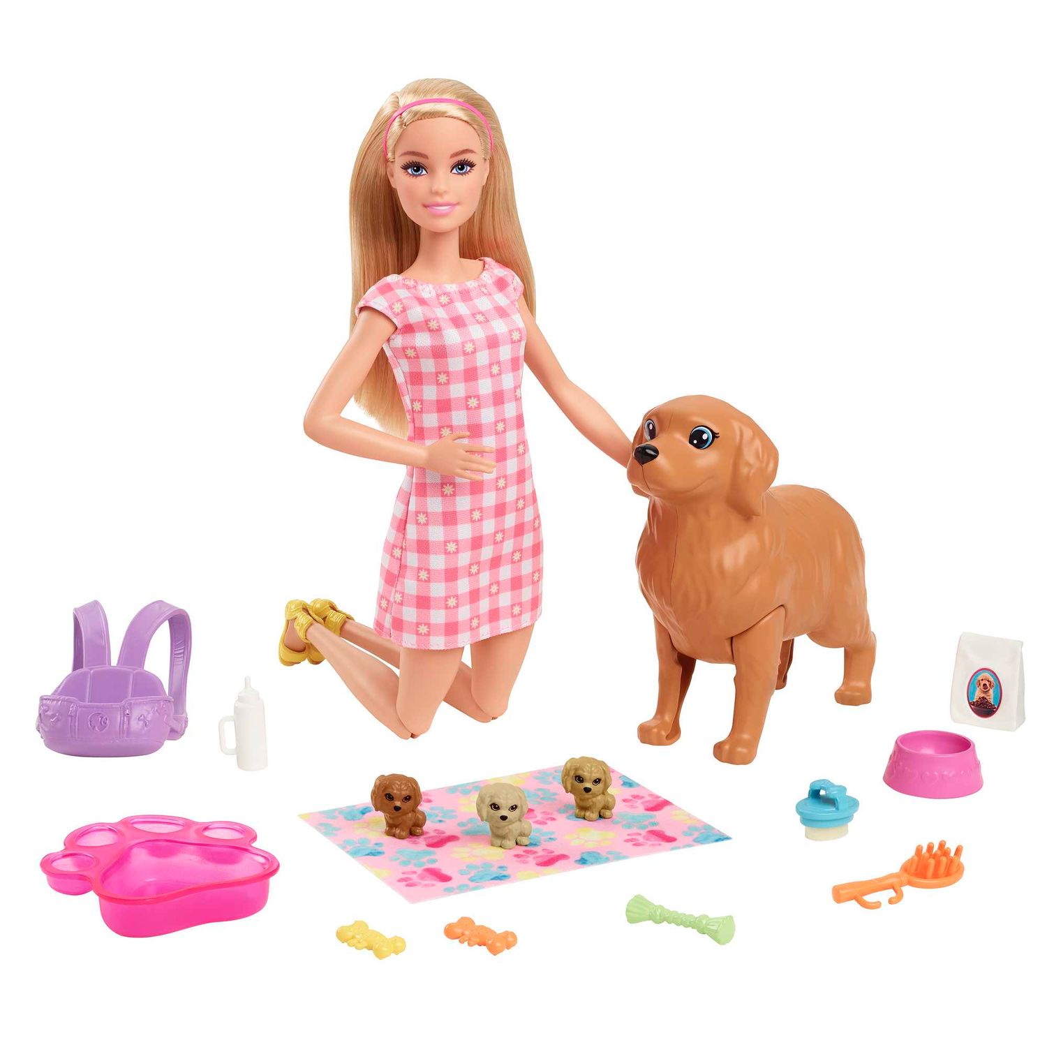 Mattel HCK75 Barbie Doll And Pets Playset