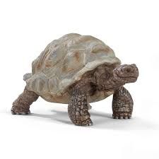 Schleich 14824 Giant Tortoise-Dot