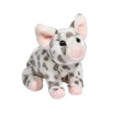 Douglas 1762 Zoinkie Spotted Pig