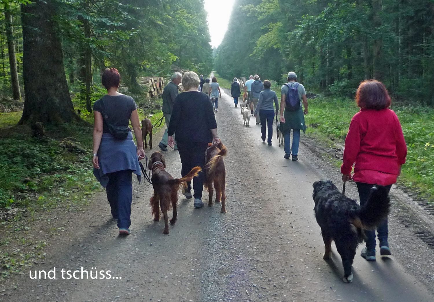 Anreise jeweils am Freitagmorgen. 3-Tagesseminar im Schwarzwald 2 Personen im gleichen Haushalt mit 1 Hund