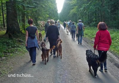 Anreise jeweils am Freitagmorgen. 3-Tagesseminar im Schwarzwald 2 Personen im gleichen Haushalt mit 1 Hund