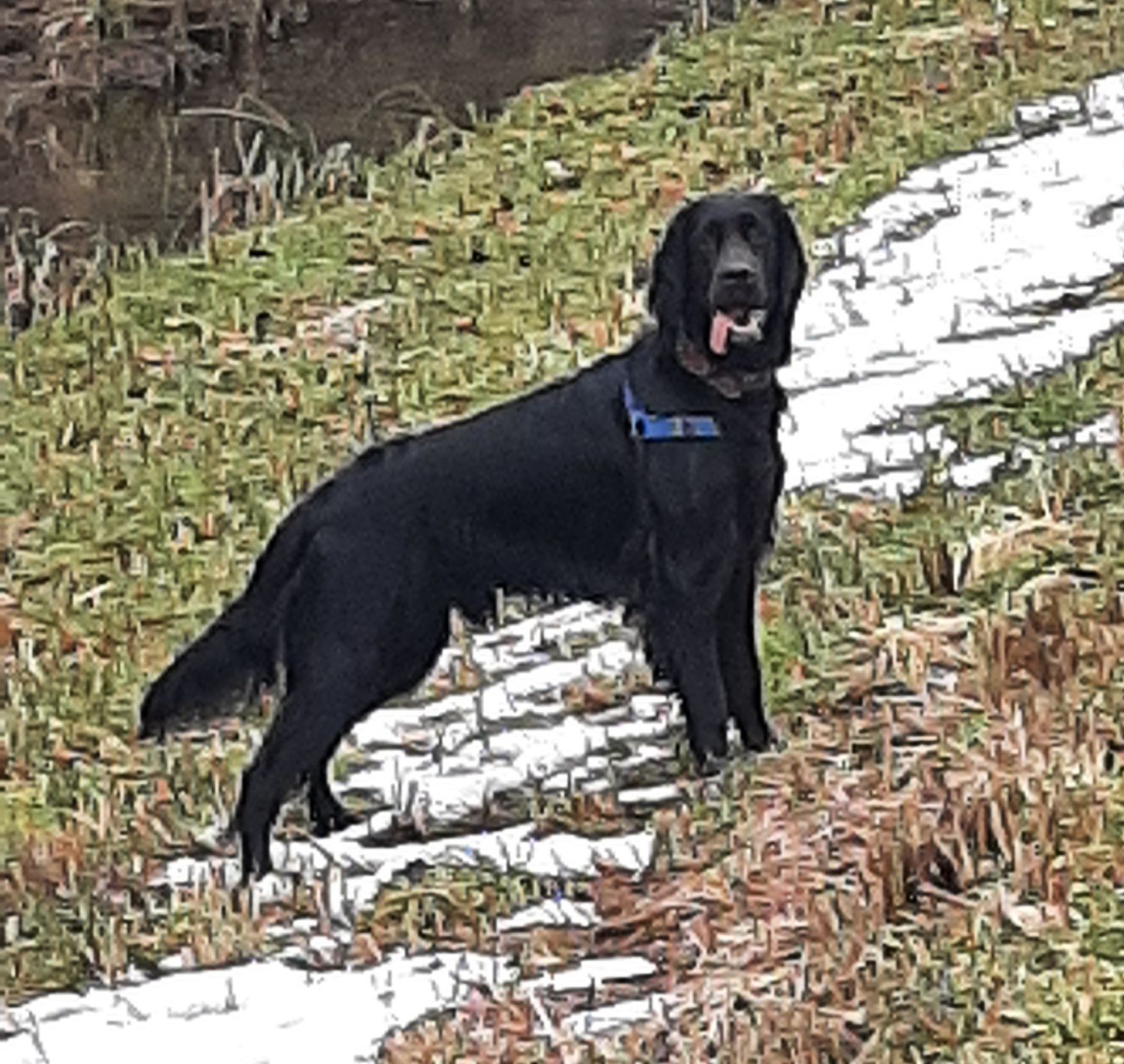 Stadt und Landkurs 10  Lektionen