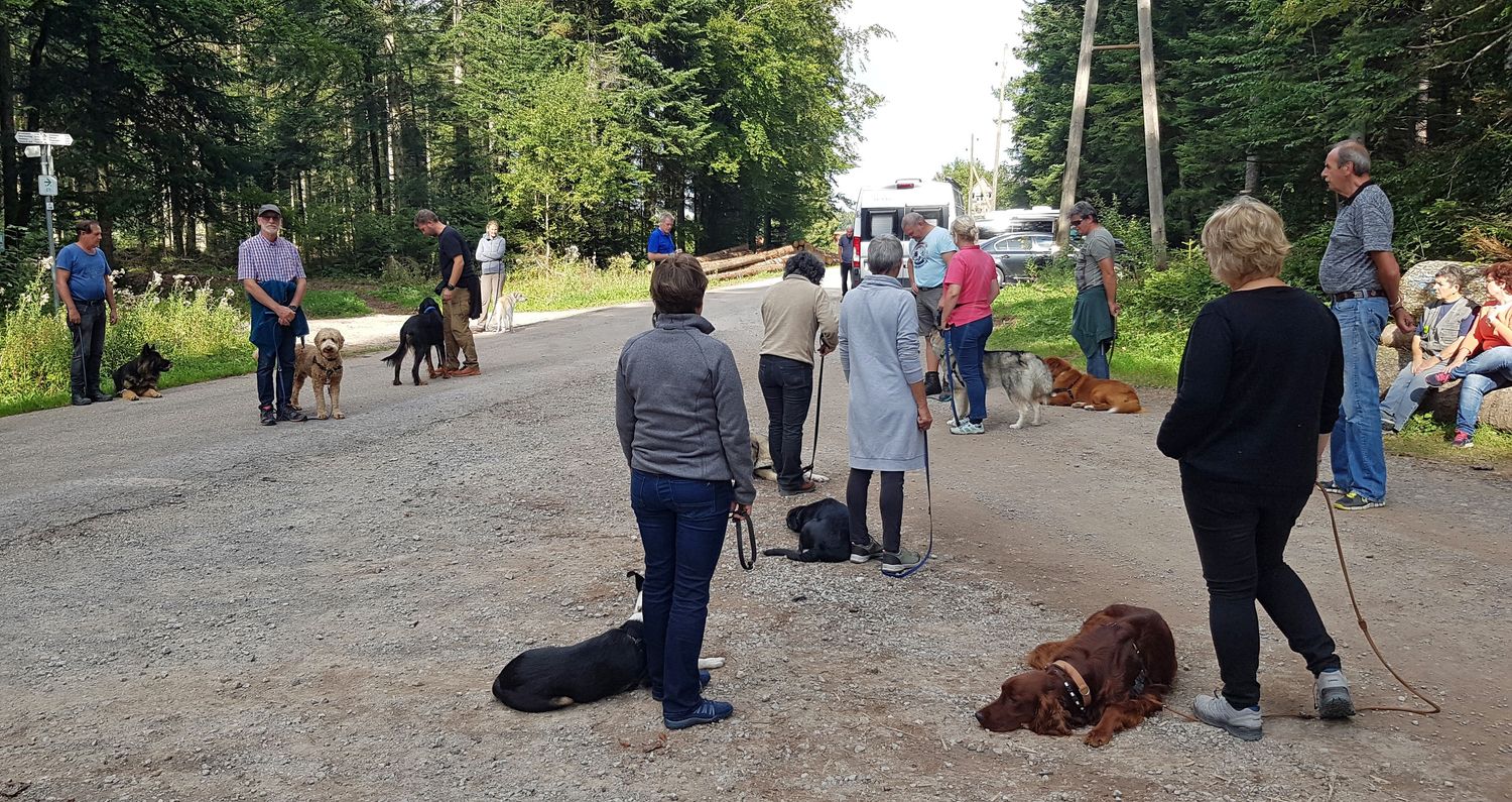 Anreise jeweils am Freitagmorgen. 3 Tagesseminar im Schwarzwald 1 Person und 1 Hund