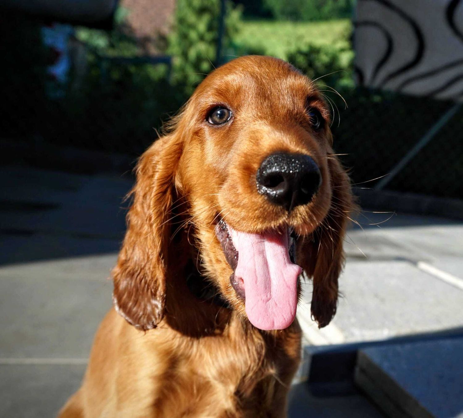 Ausprobierstunde alleine 90min.