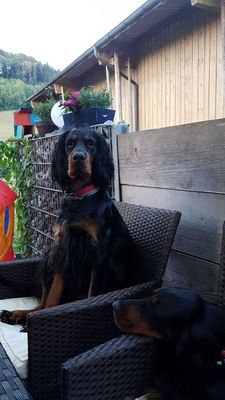 Privatstunden Privatstunden