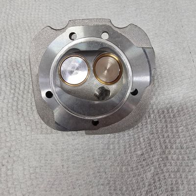 Cylinder Head 180/257 w/valves  