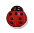 A  red and black ladybird shaped button.