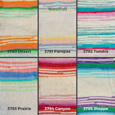 A shade card showing the 6 variegated shades of Stylecraft Savannah.