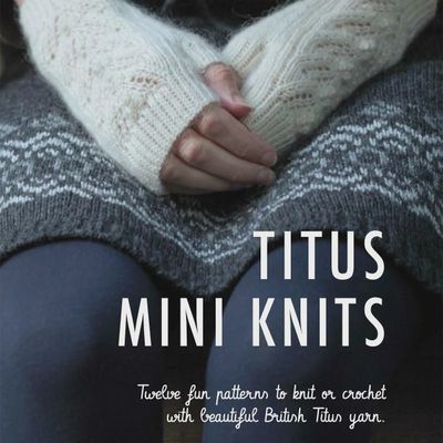 The front cover of the Titus Mini Knits book, showing cream knitted mitts and the title.