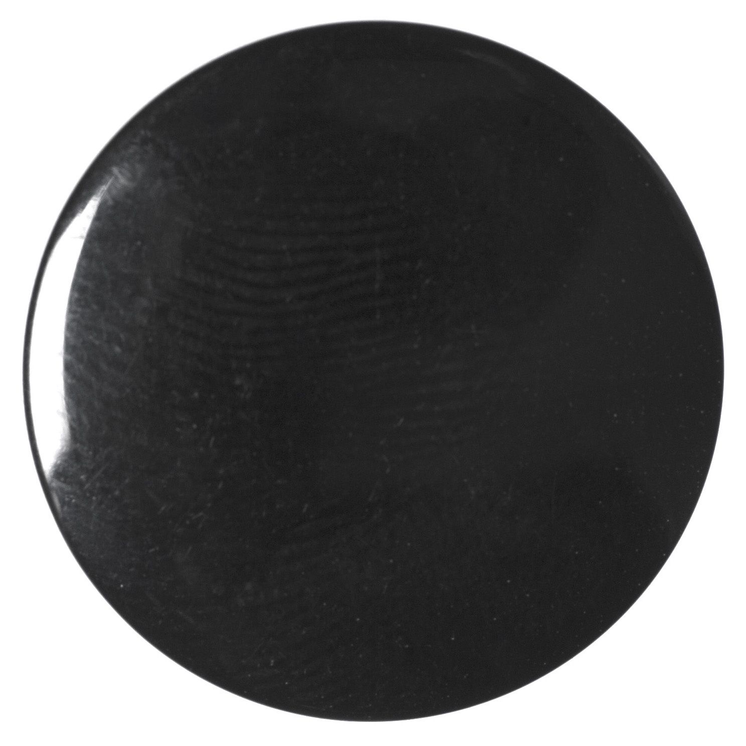 A round shiny black button.