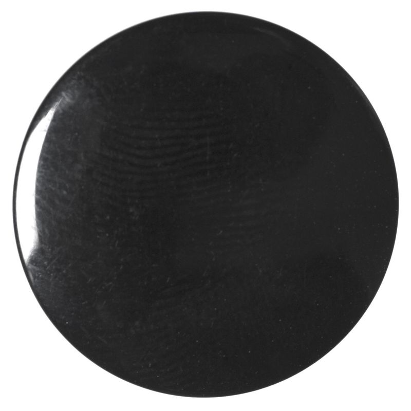 A round shiny black button.