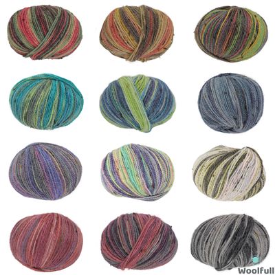 A shade card showing the 12 variegated colours of yarn.