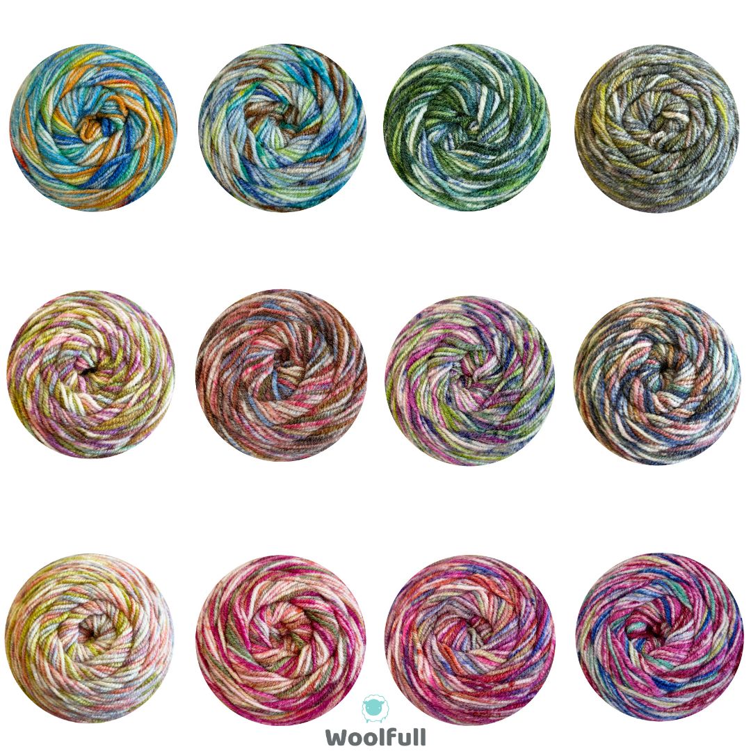 A shade card showing all 12 colours.