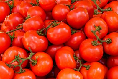 TOMATEN