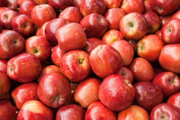 APPELS