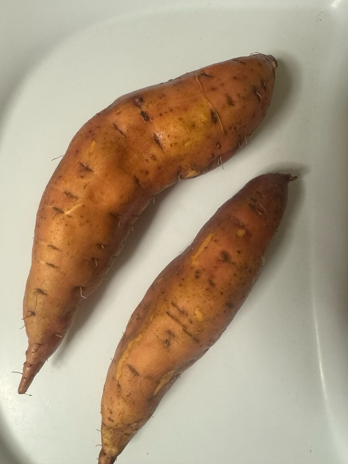 NIEUW zoete aardappelen (prijs per kg)