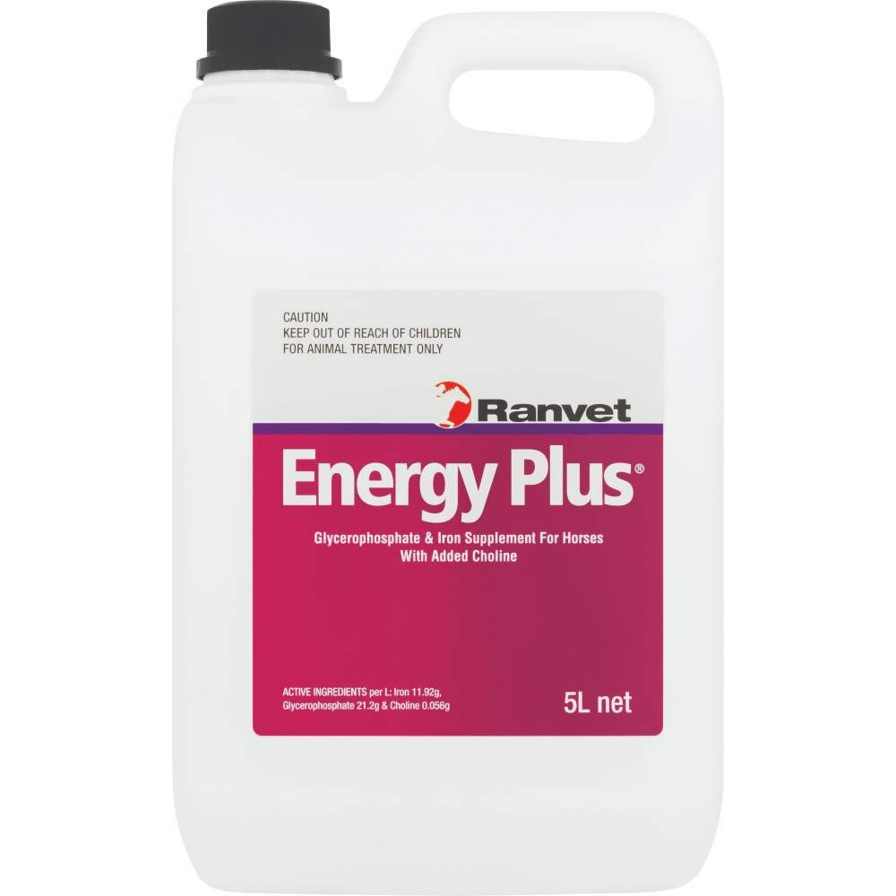 Energy Plus