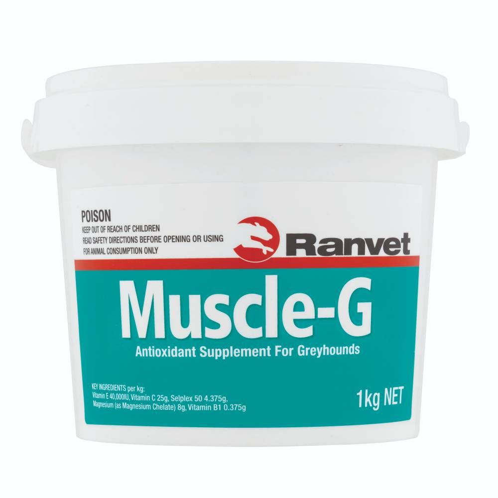 Muscle G