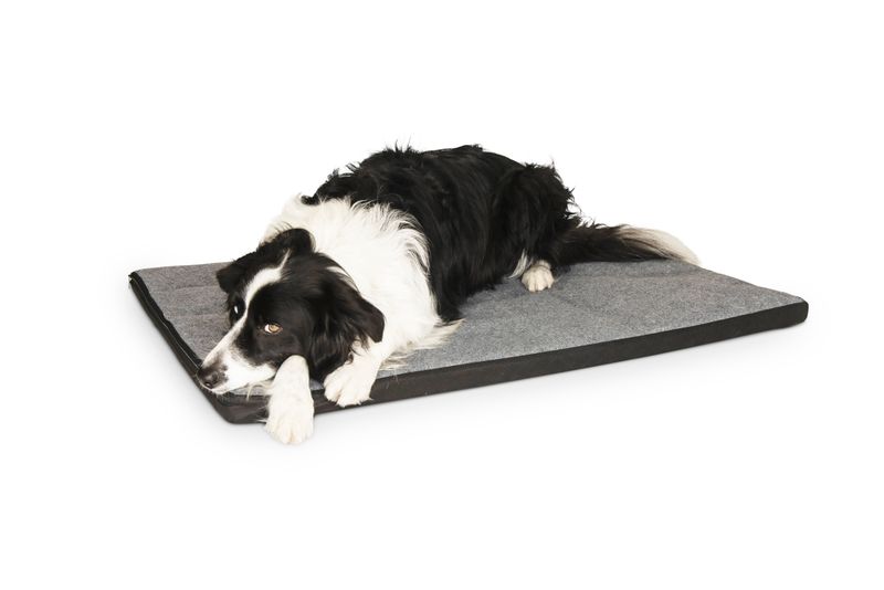 Large Dog Mat - Hessian