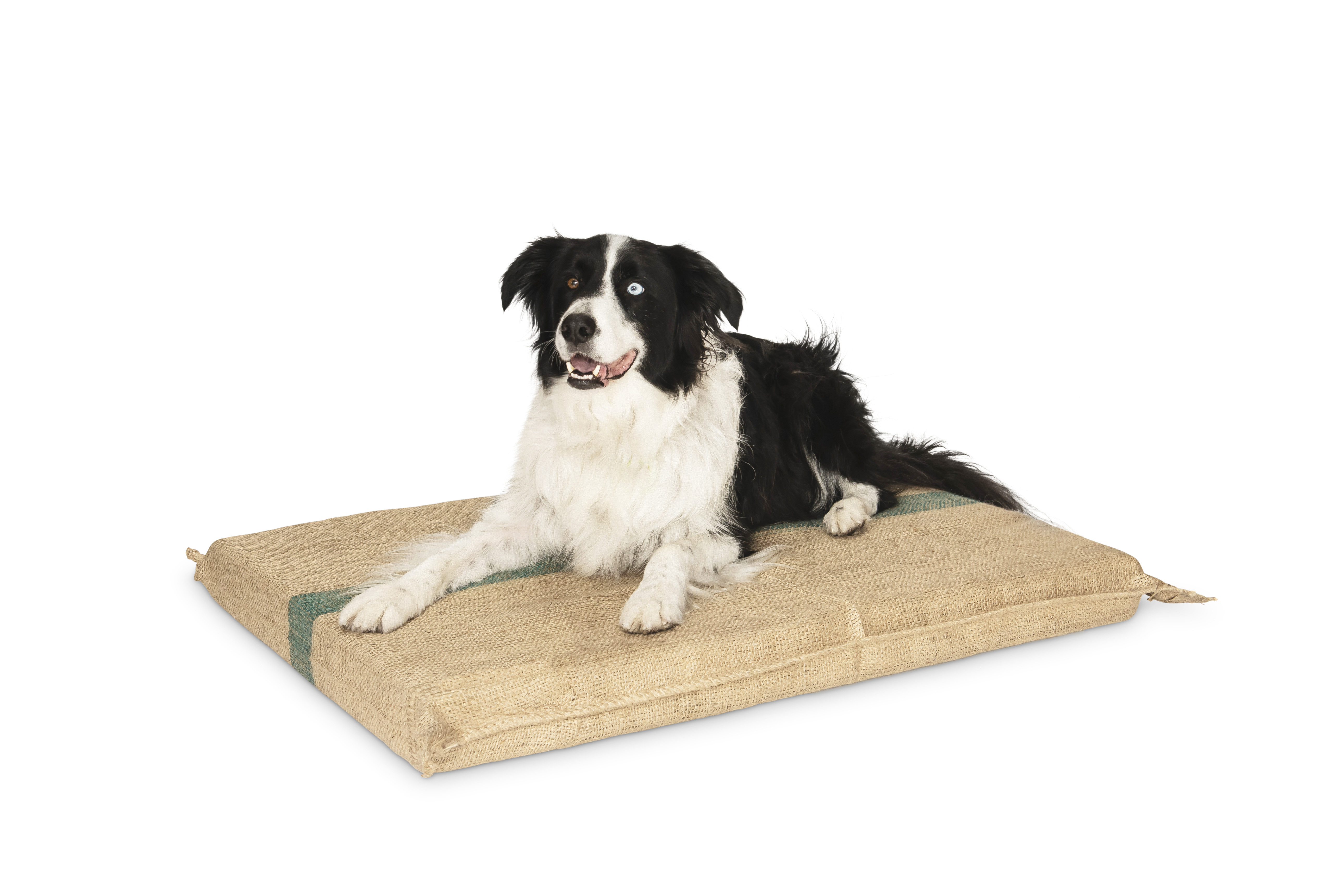 Large X Thick Dog  Mat Hessian