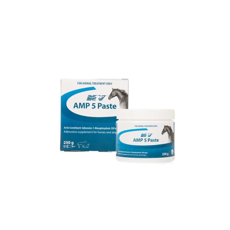AMP 5 Paste