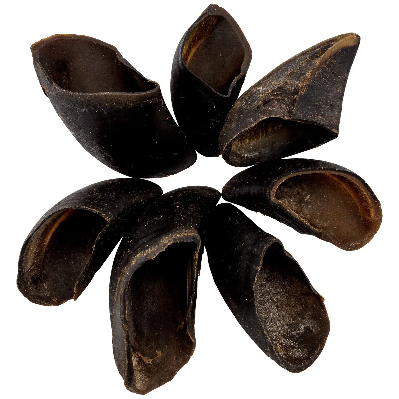 Cow Hooves (each)