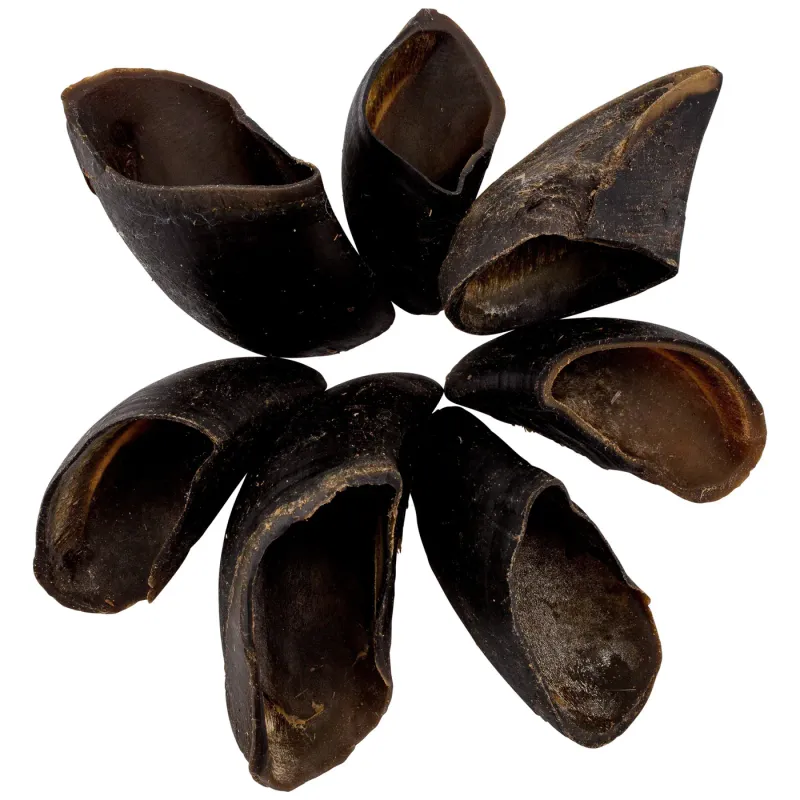 Cow Hooves (each)