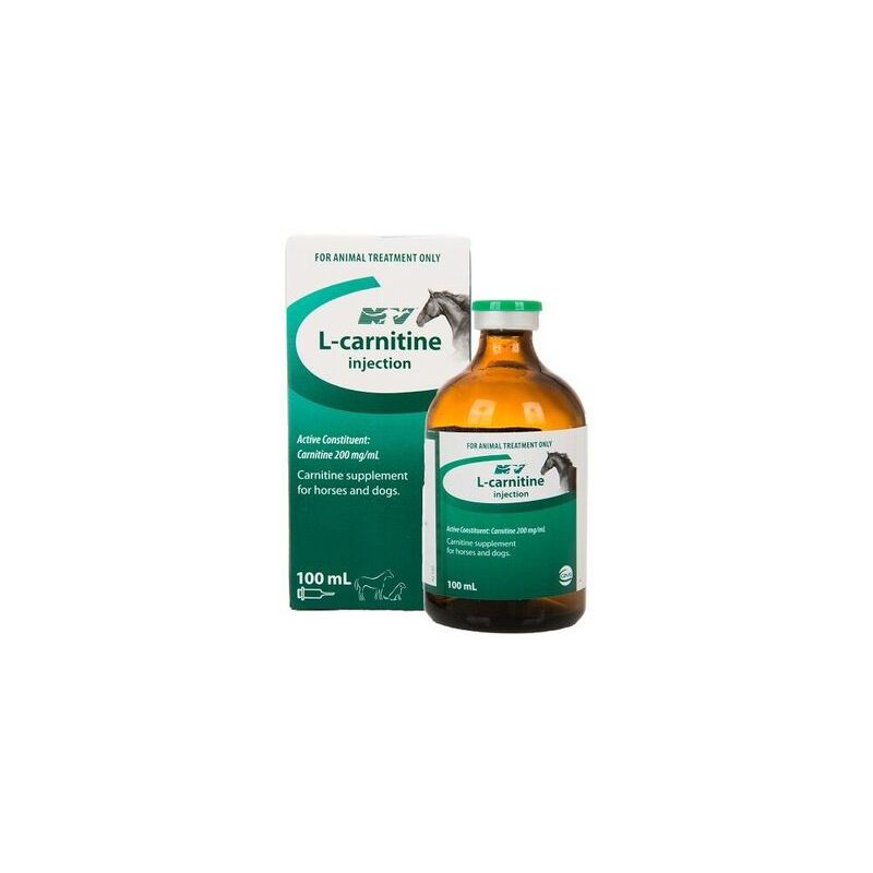 L-Carnitine