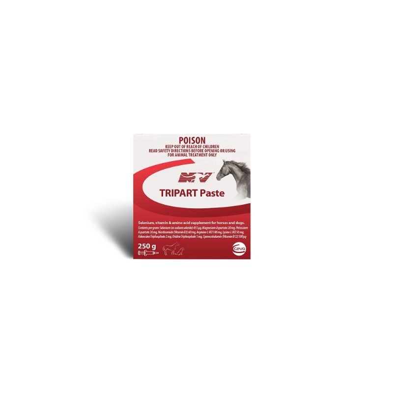 Tripart Paste Pot