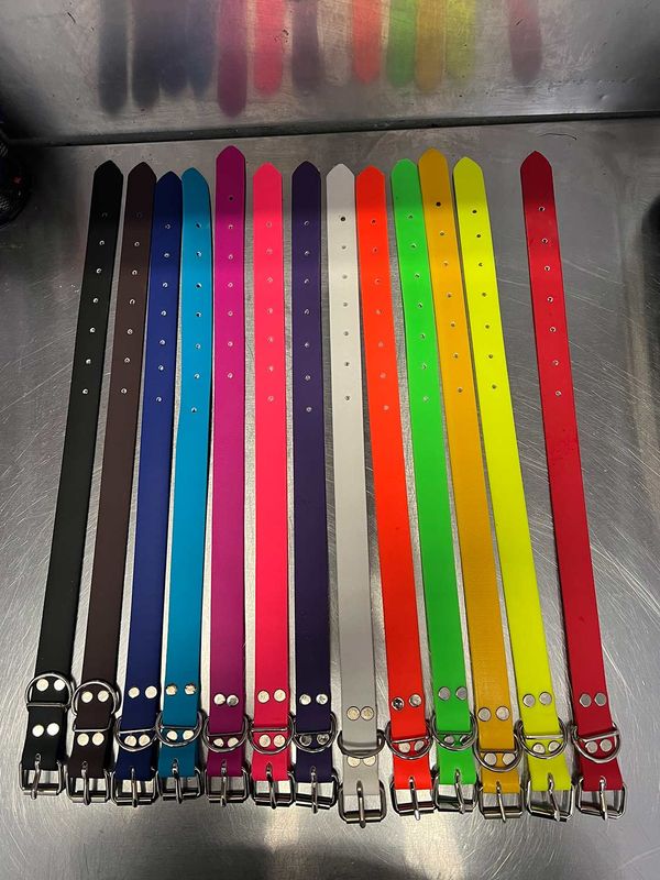 Kennel Collars