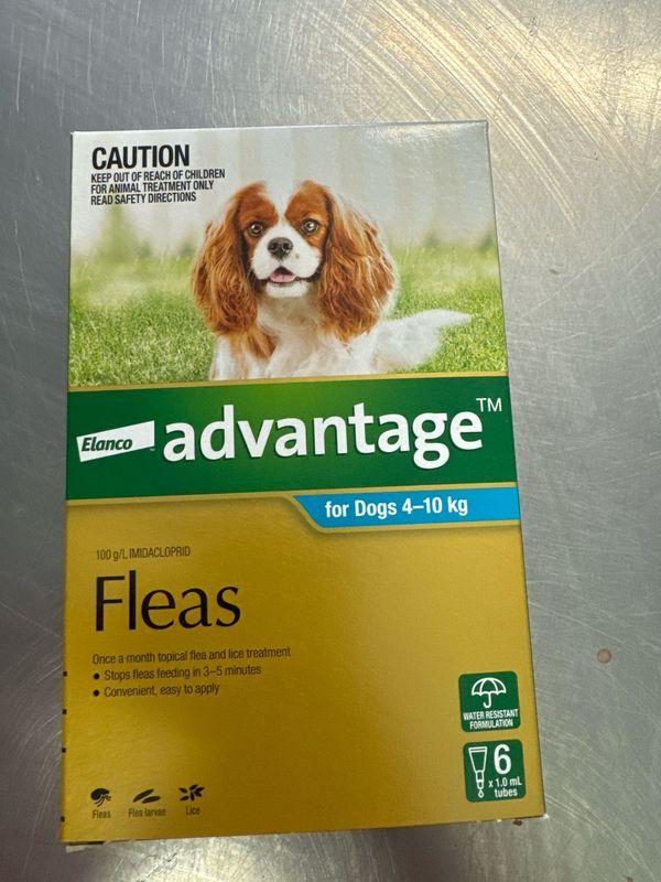 Advantage Flea Treatment 4kg-10kg (6)