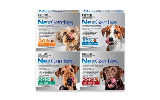NexGard Chew Flea Treatment 25.1kg - 50kg (6)