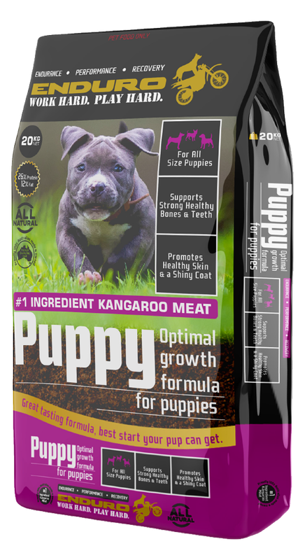 Enduro Puppy