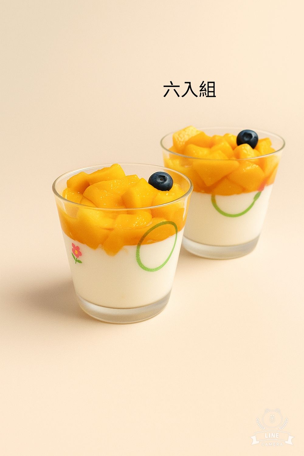 ｜仲夏芒果季｜<夏日限定>百香芒果奶酪六入組