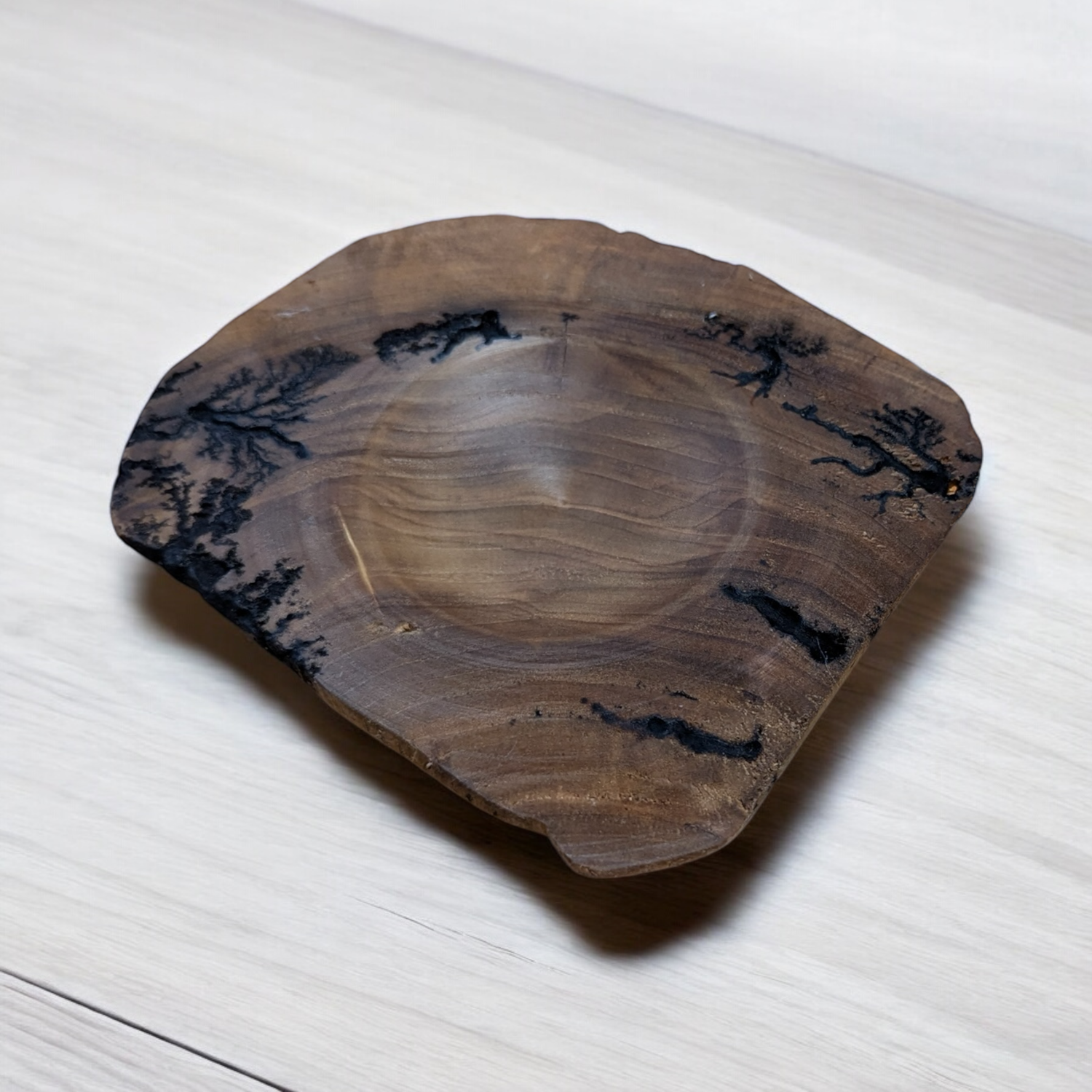 Lichtenberg Dish