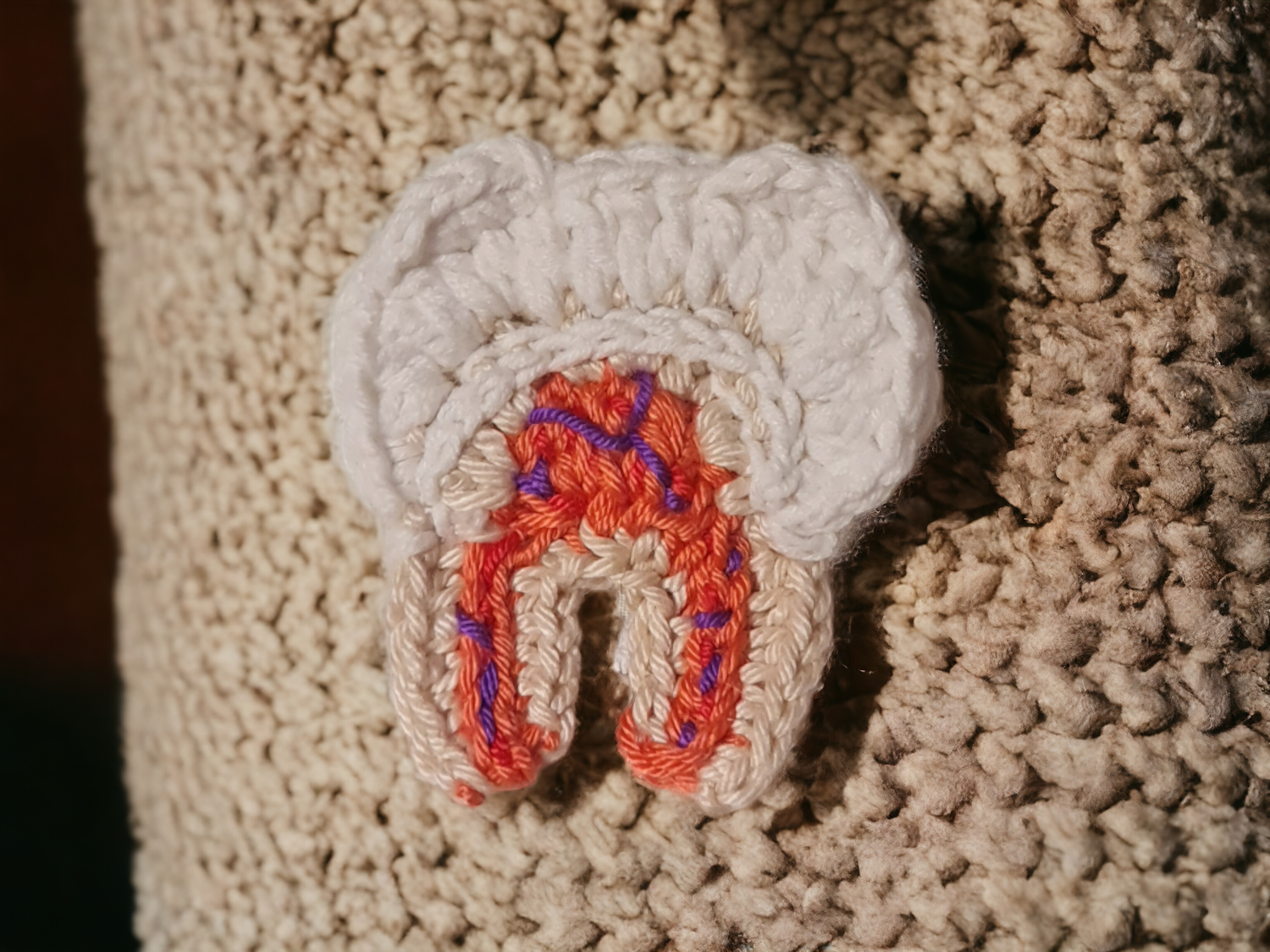 Anatomy of a tooth Brooch