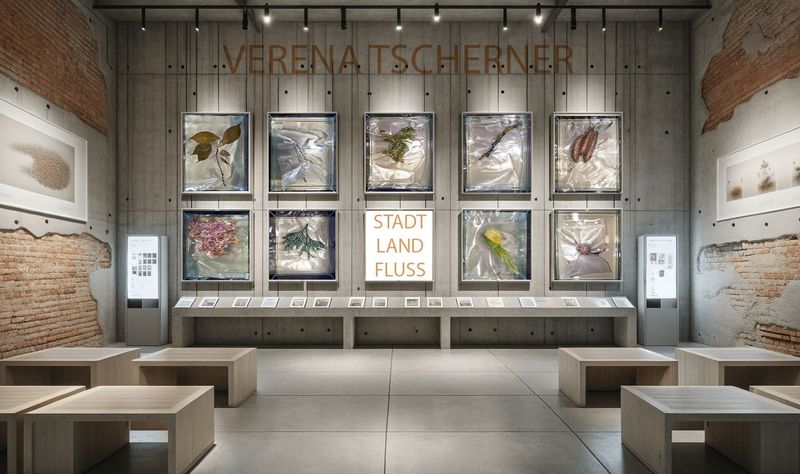 Verena Tescherner Fine  Art Edition