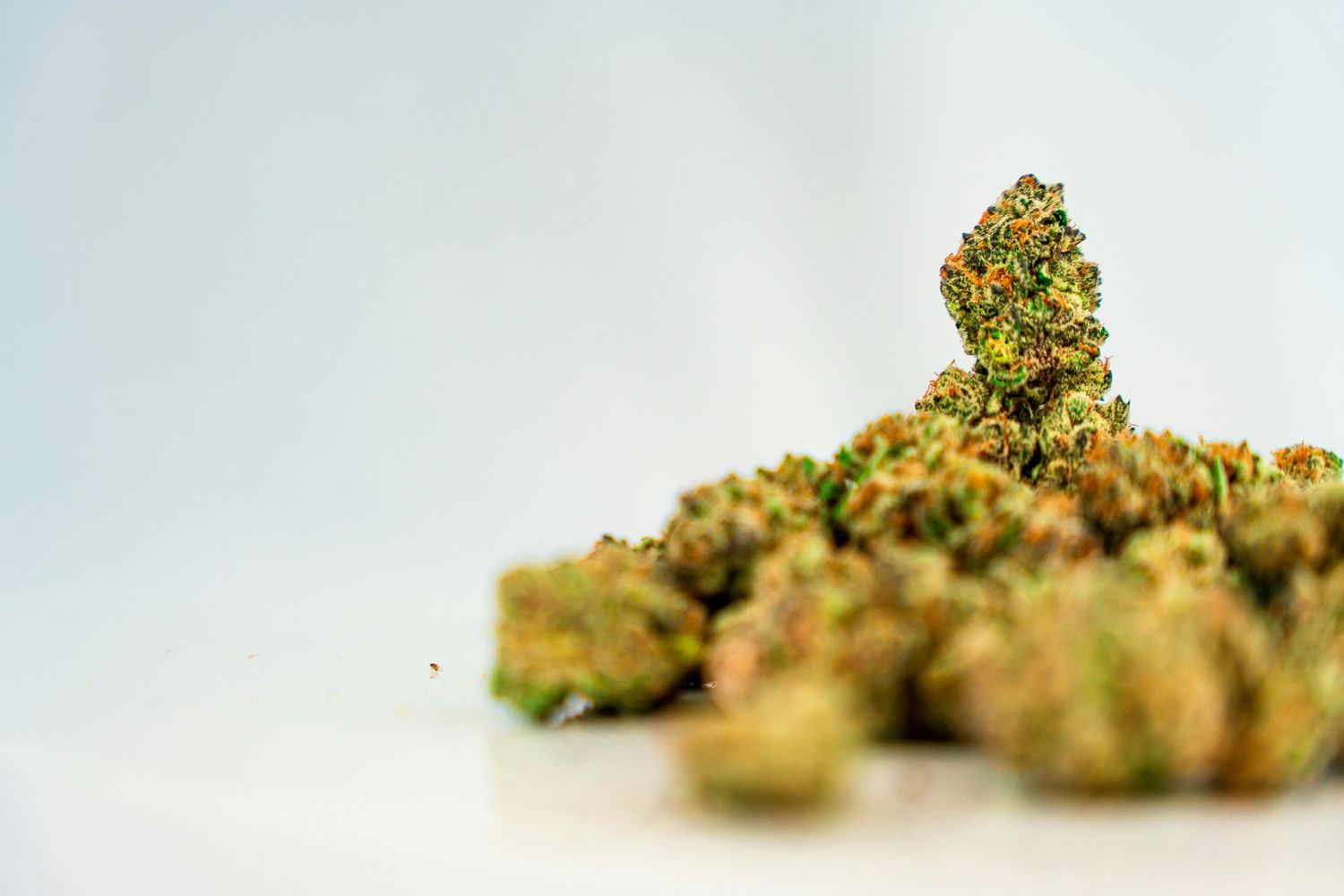 3.5g Cali-Grade Bud
