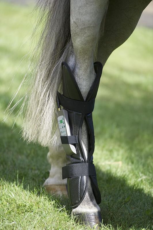Equine PEMF Therapy Boot (HIND) by Oxford Medical Instruments Equine PEMF Therapy Boot (HIND) by Oxford Medical Instruments