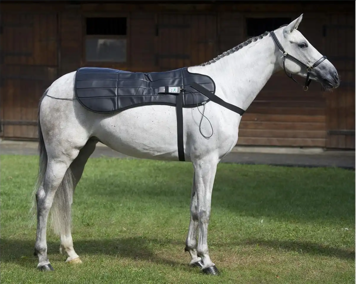 Equine PEMF Therapy Blanket by Oxford Medical Instruments Equine PEMF Therapy Blanket by Oxford Medical Instruments