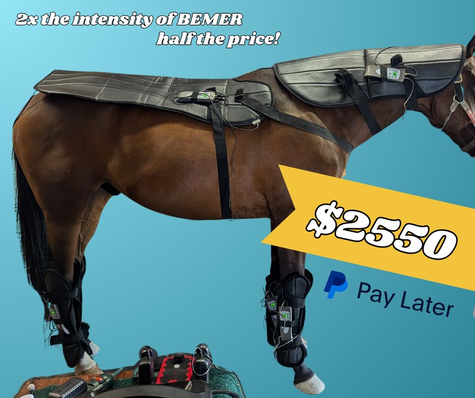 Equine PEMF Therapy Set - Blanket, Four Boots, and Neck Wrap - by Oxford Medical Instruments Equine PEMF Therapy Set - Blanket, Four Boots, and Neck Wrap - by Oxford Medical Instruments